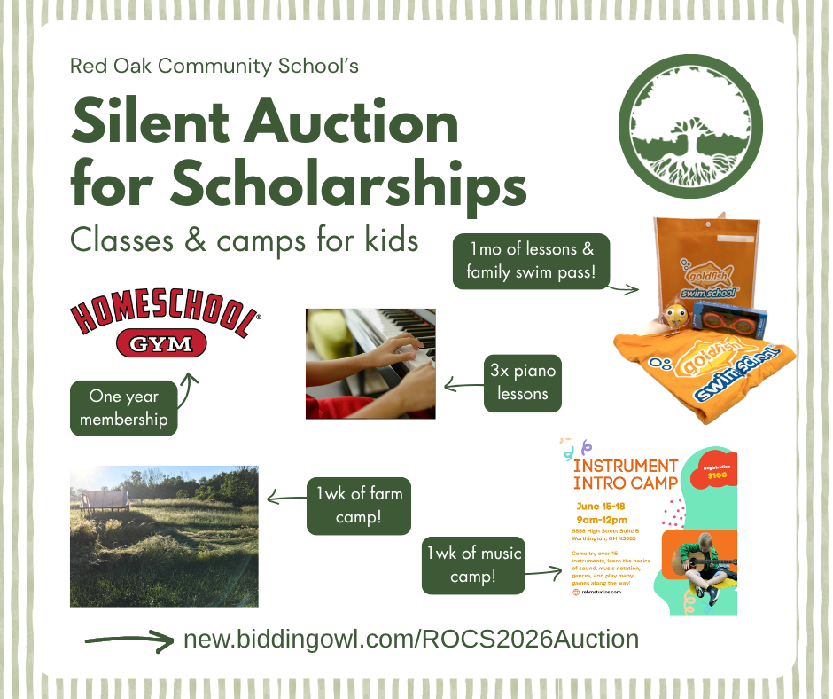 5.2 Parties _ Classes _ Camps.png