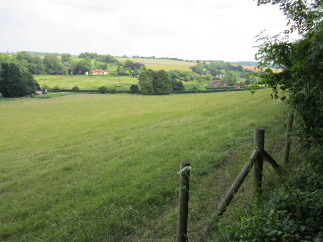 The view from my bench.