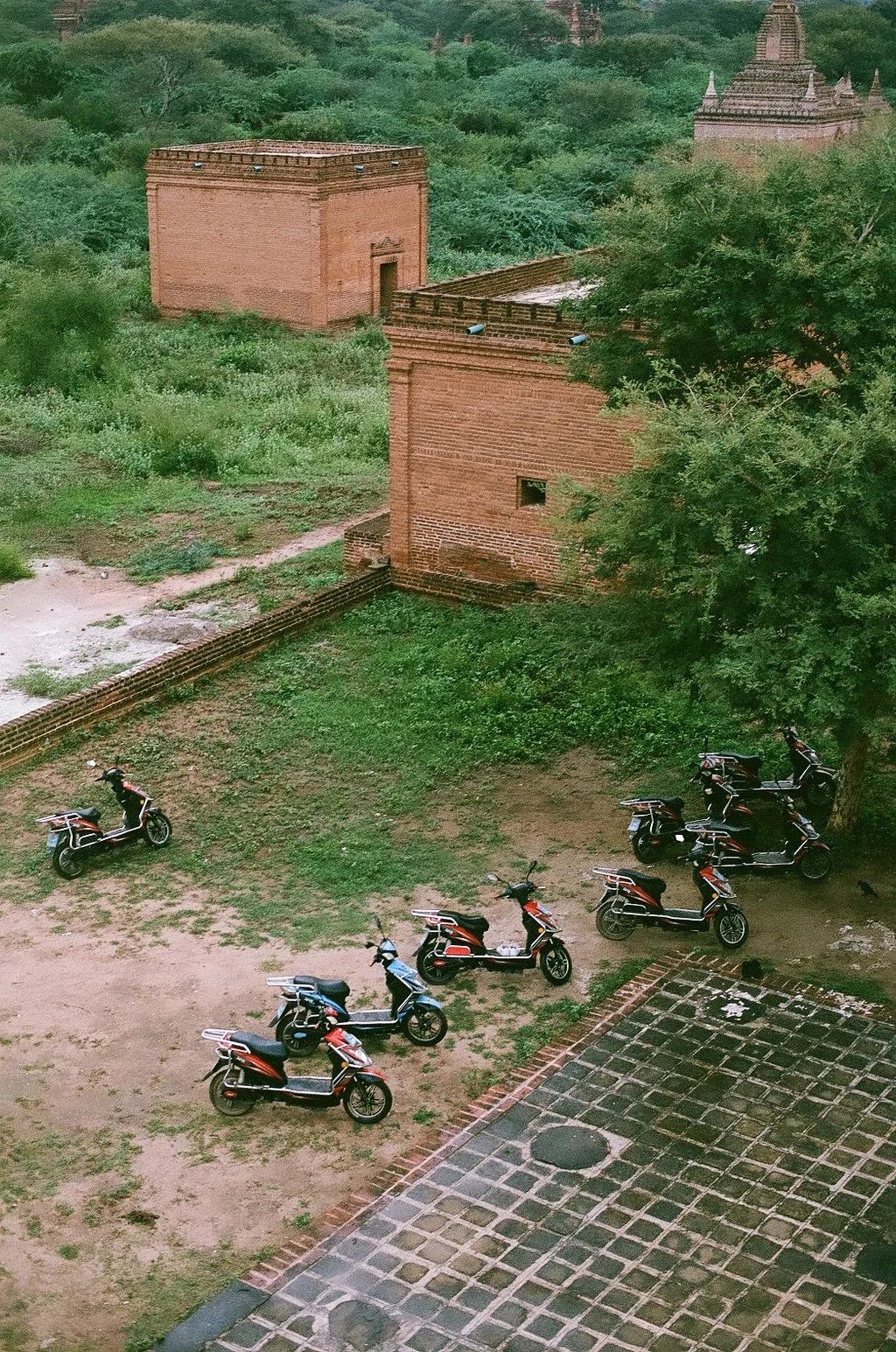 07960006.jpg