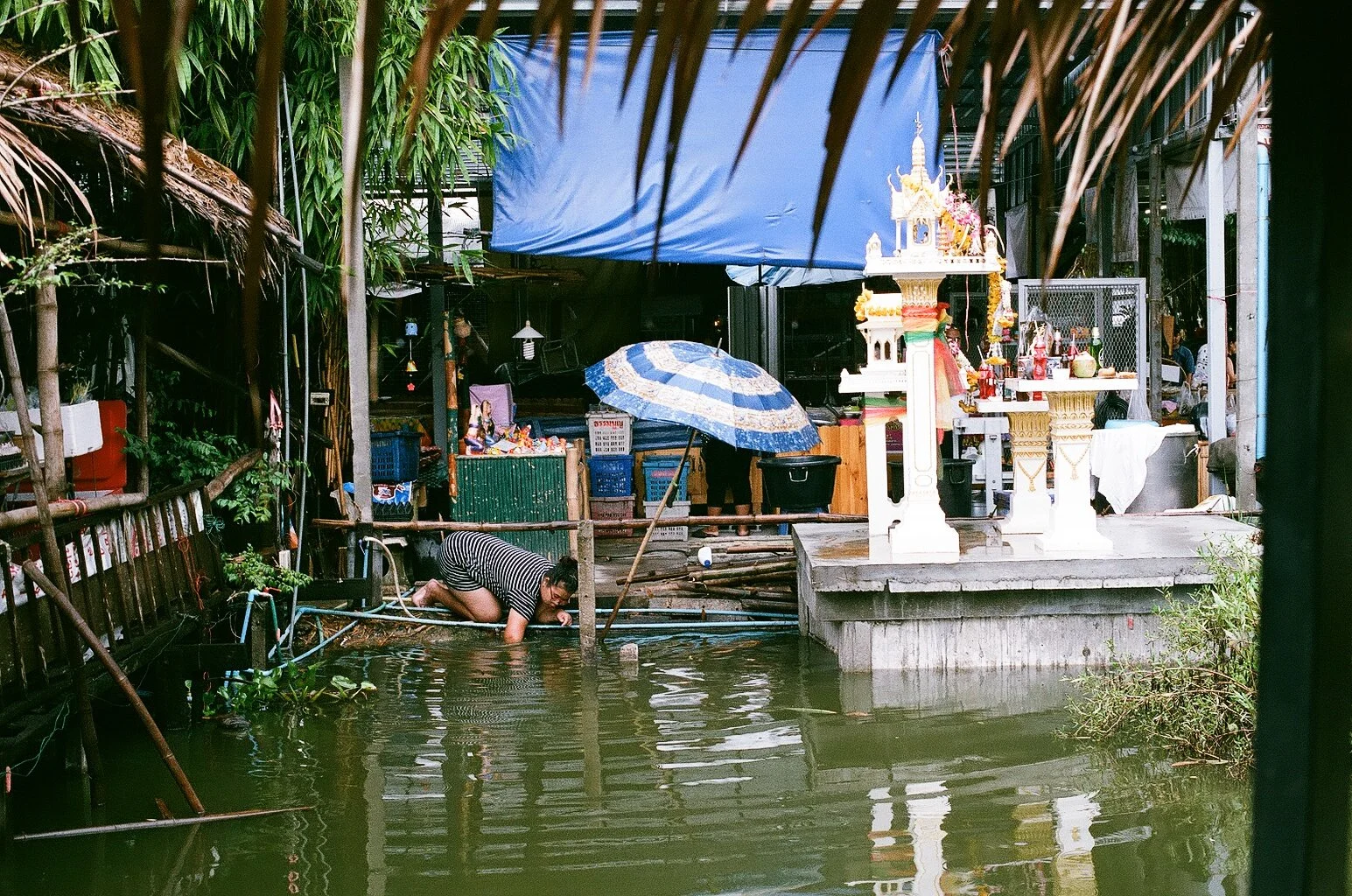 07970018.jpg