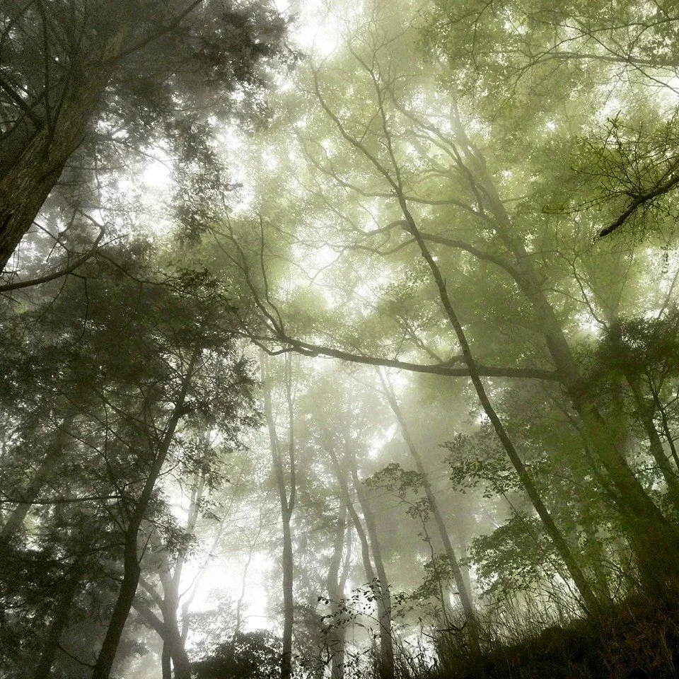 What Counts as Trauma? Why We Minimize the Experiences That Affect Us
