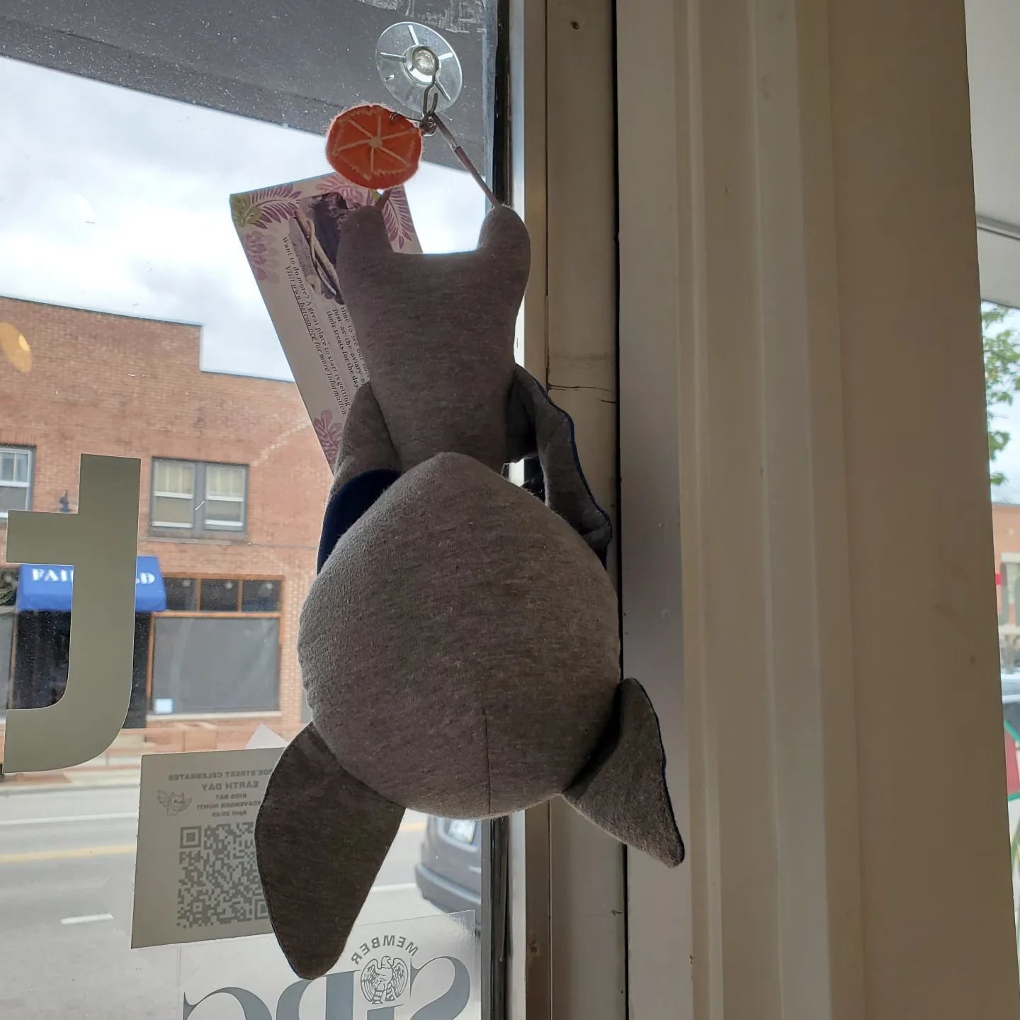 Have you seen these cute bats at some of our merchants?! There are more than two dozen colorful bats made of upcycled t-shirts from the @henryvilaszoo in the windows of businesses up and down #MonroeStreet in honor of Earth Day. 

How many can you fi