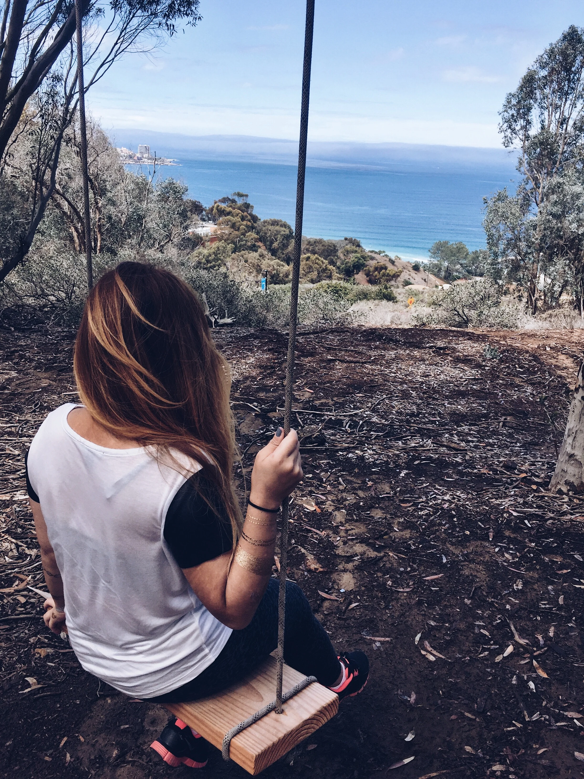 THE WORLD IS A PLAYGROUND