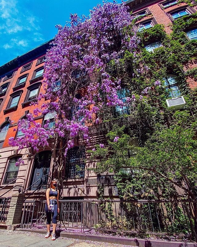 🔮 do you lilac it? 
#spring #nyc #citylife #style #enJOYinglife #joyet