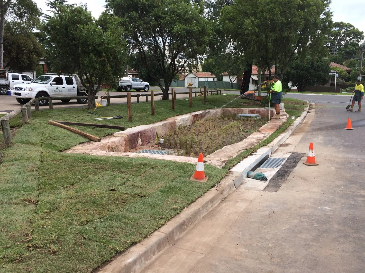 Emery Ave Rain Garden