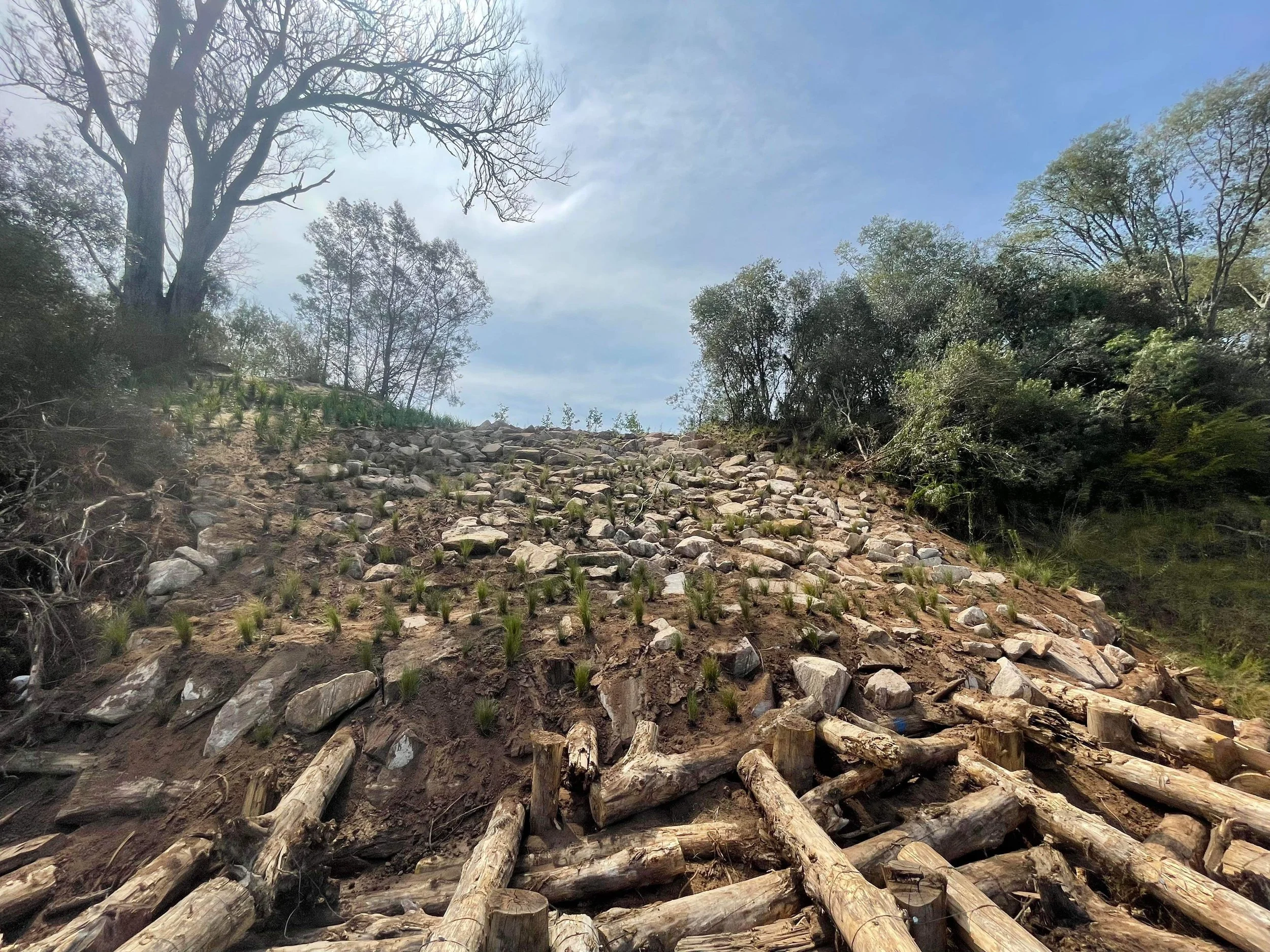 Nepean River - Camden Council 