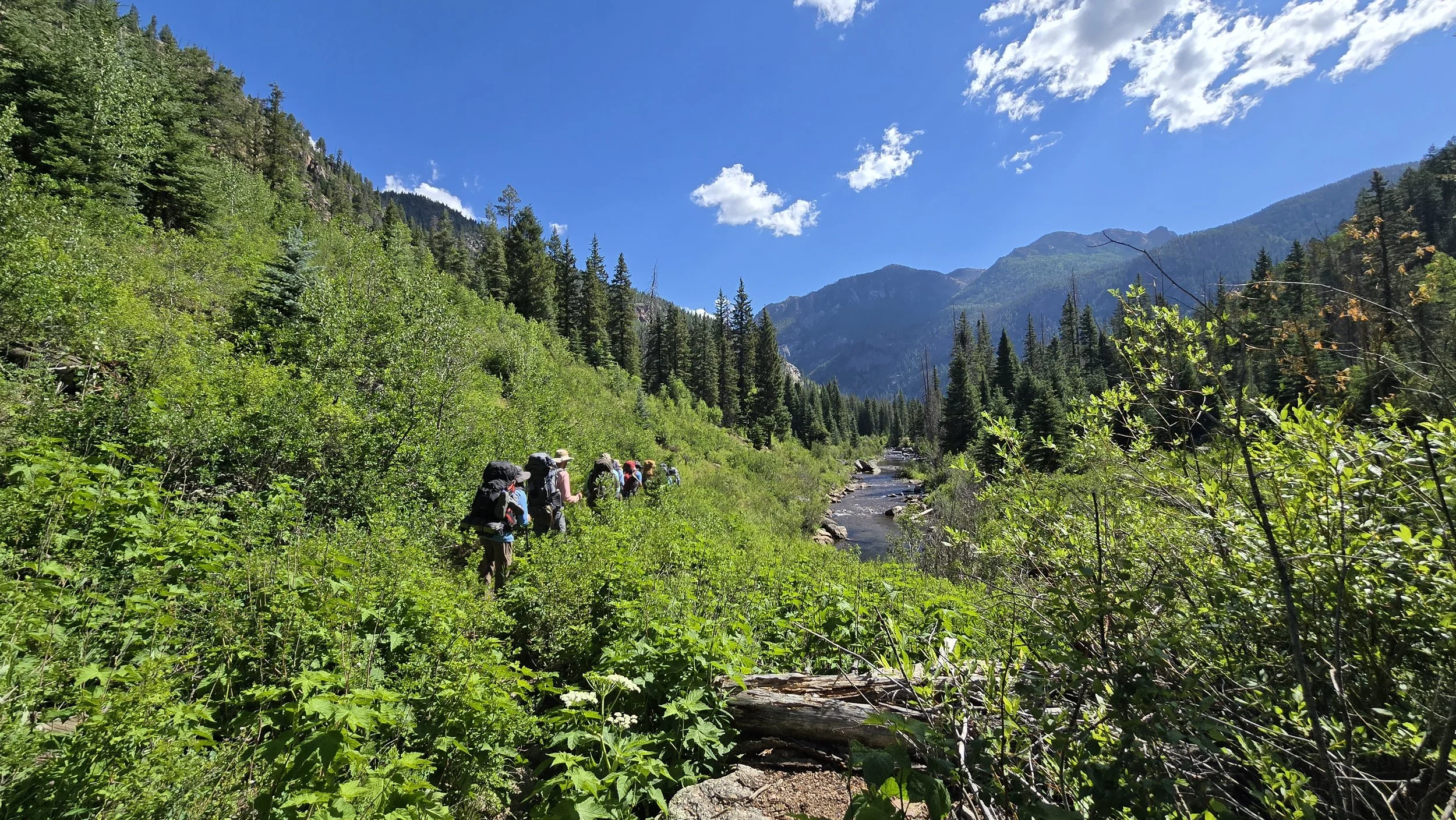 Weminuche Wilderness, CO