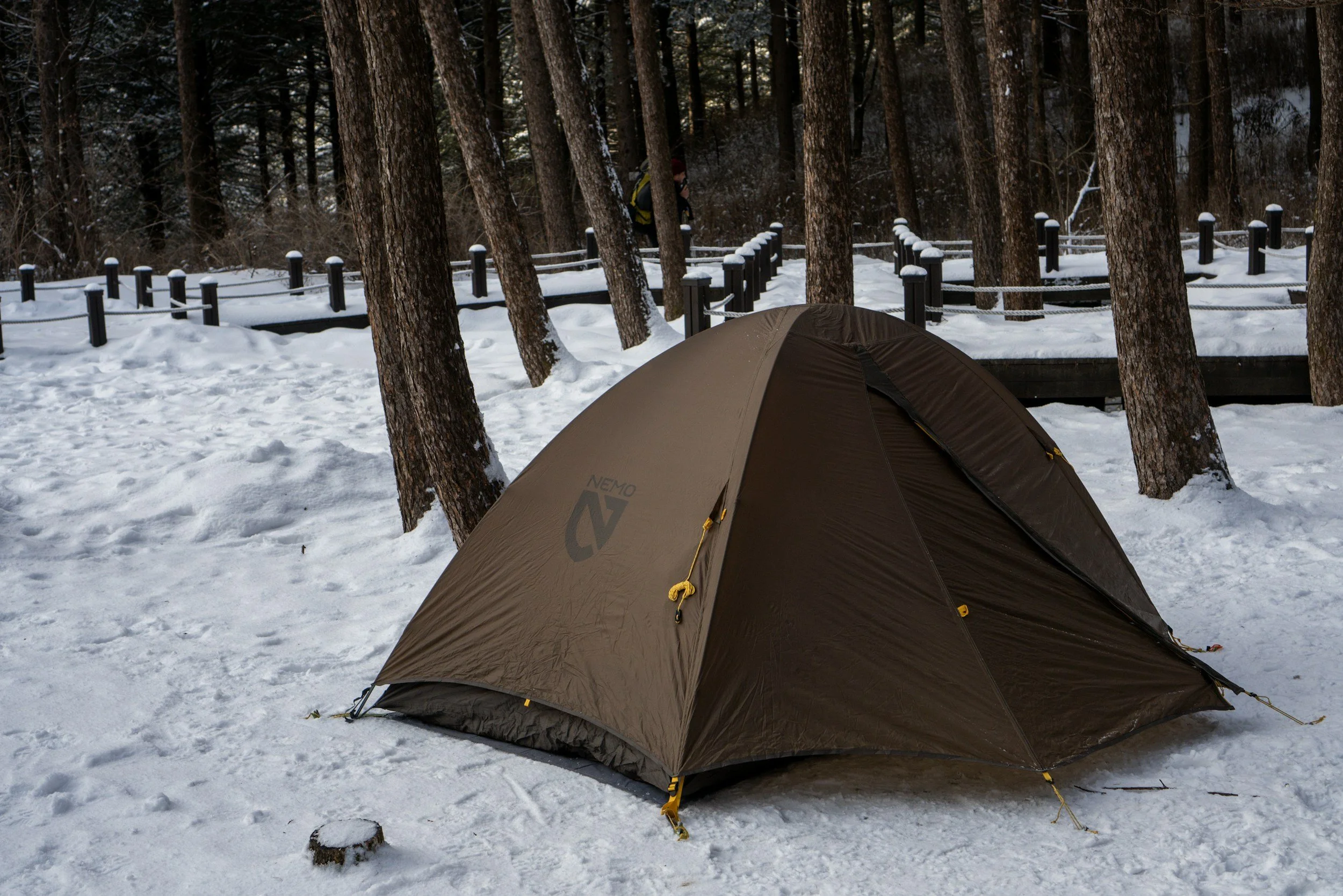 Wilderness Survival