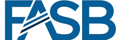 Marc Betesh Comments on FASB Changes