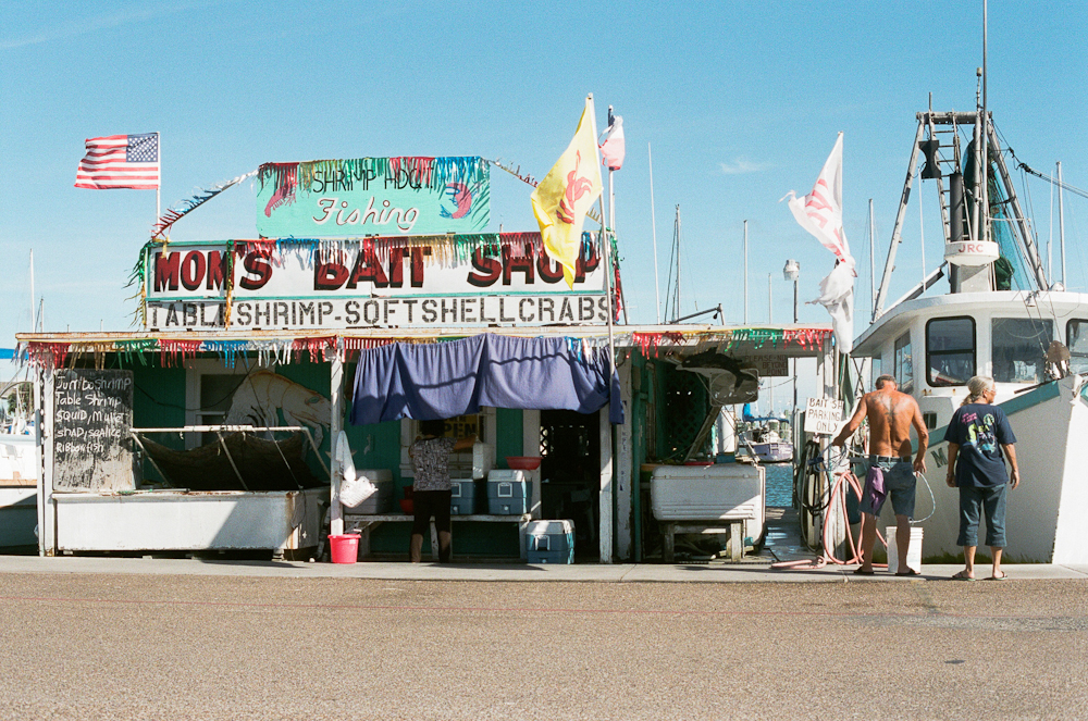 Film 365 Project {Week 8}