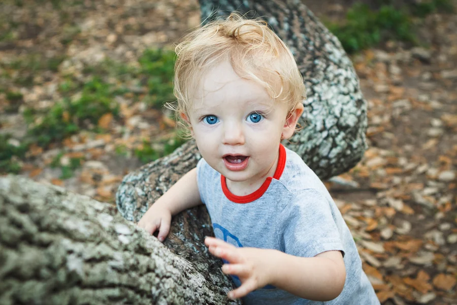 Family Photos at The Big Tree 