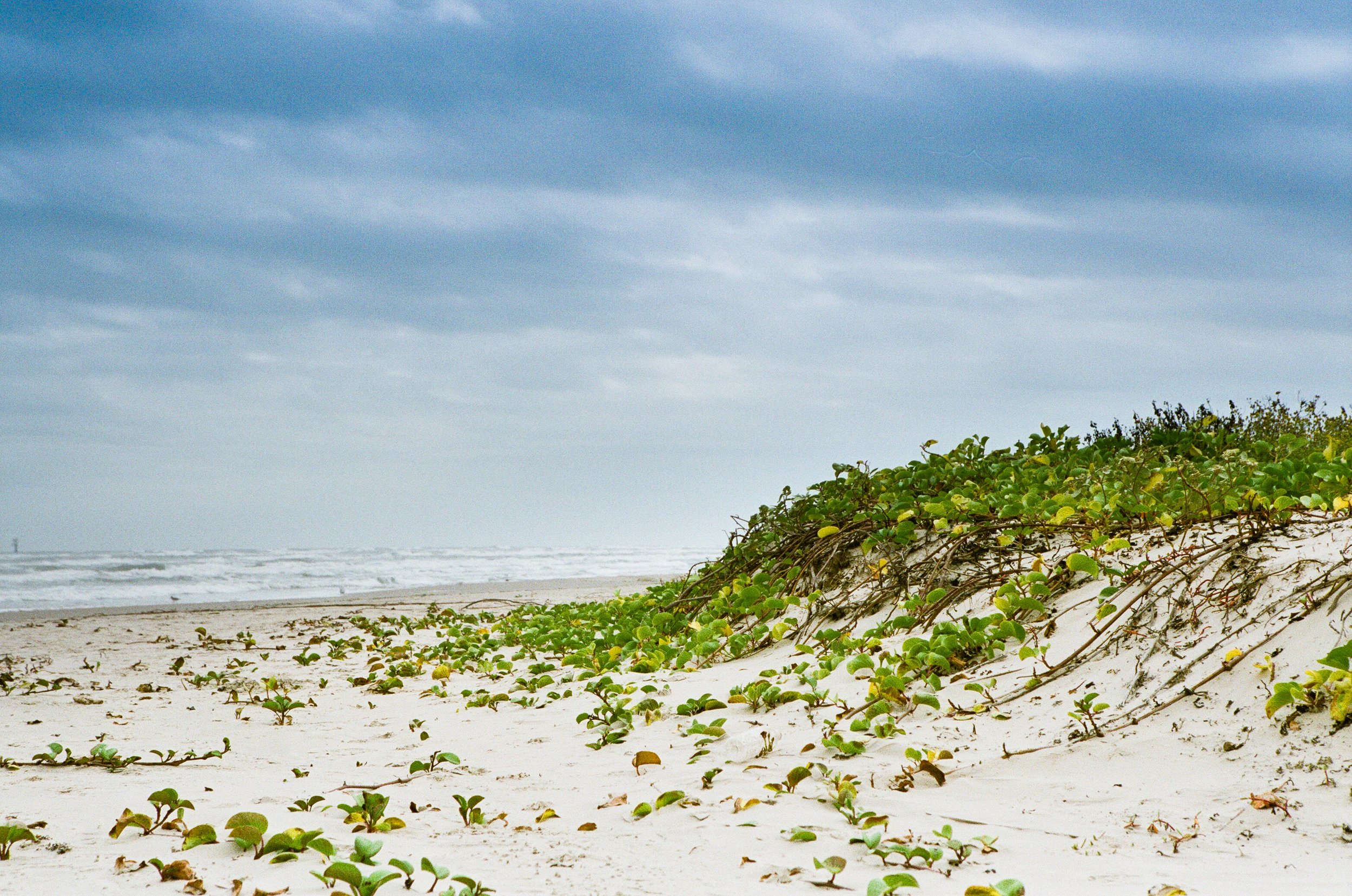 Film 365 Project {Week 12}