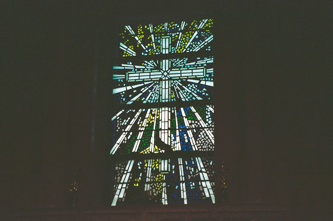 Film 365 Project {Week 14}