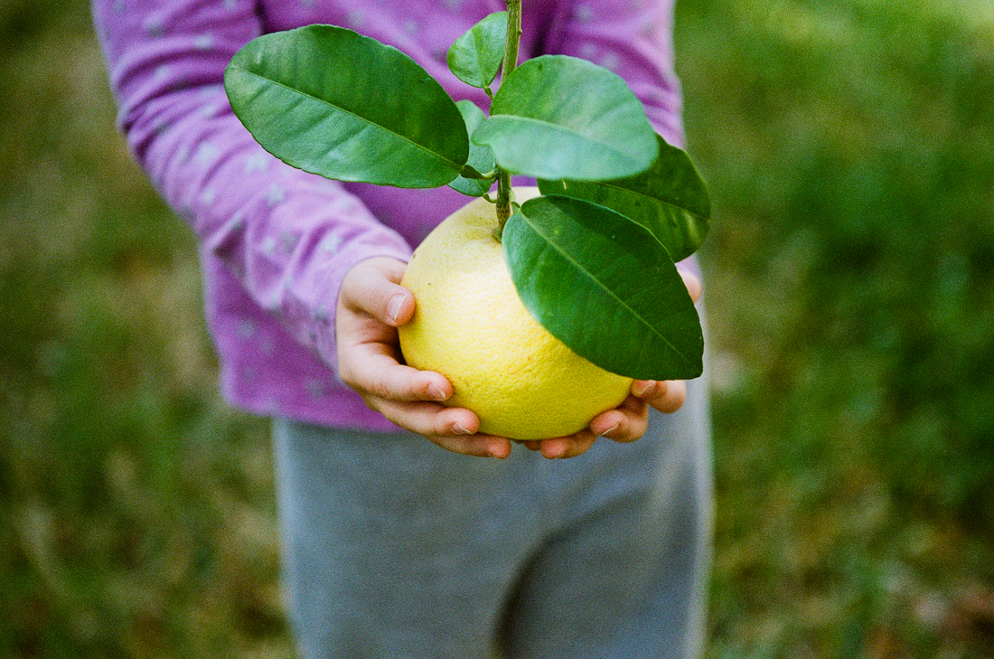 Film 365 Project {Week 15} - Rockport, TX Photography