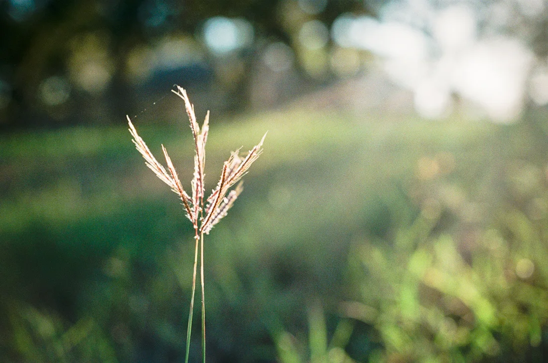 Film 365 Project - {Week 21} - Rockport, TX