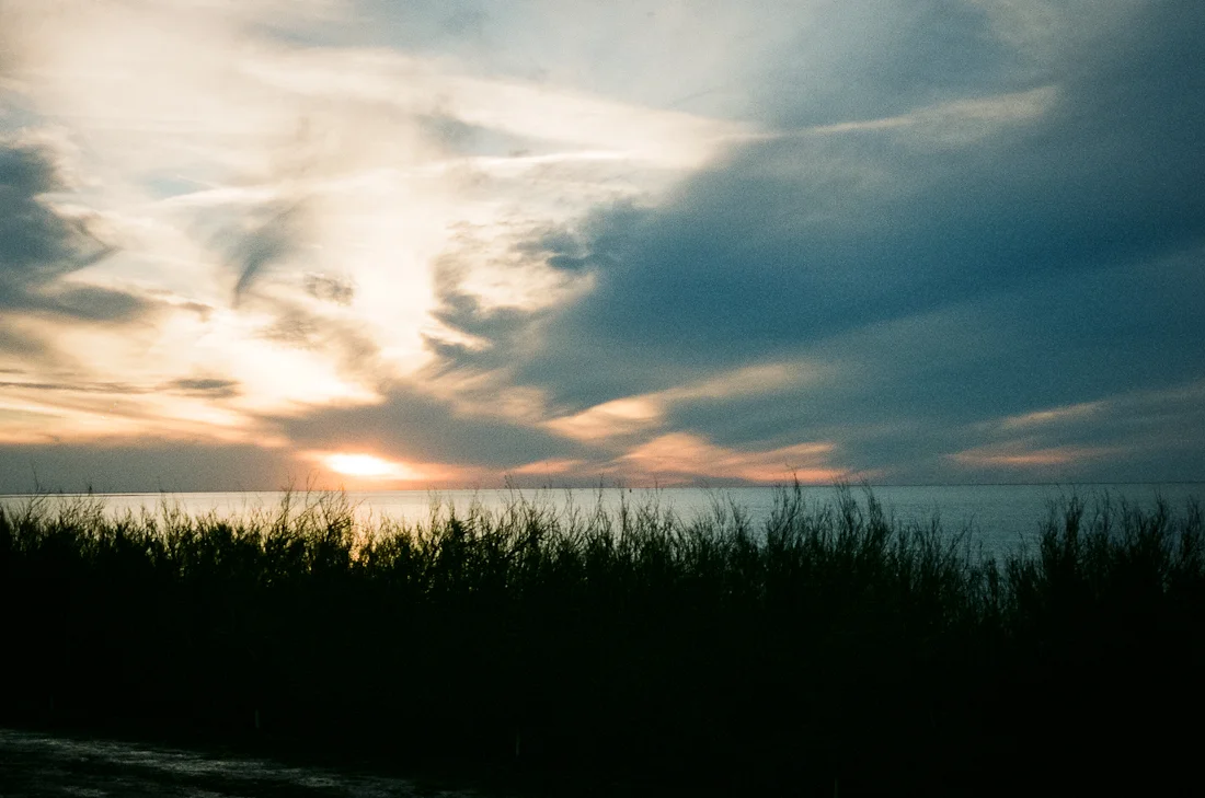 Film 365 Project - {Week 22} 