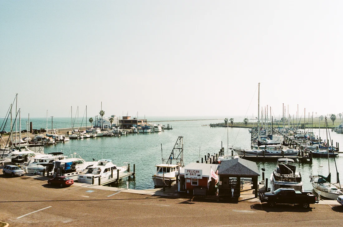 Film 365 Project - {Week 24}