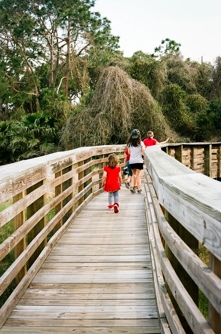 Film 365 Project - {Week 27} - Homeschooling Adventures