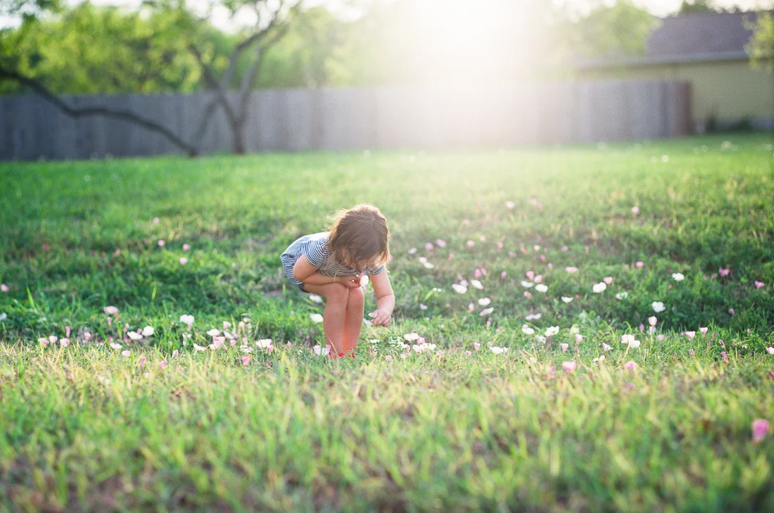 Film 365 Project - {Week 28} Spring Blooms