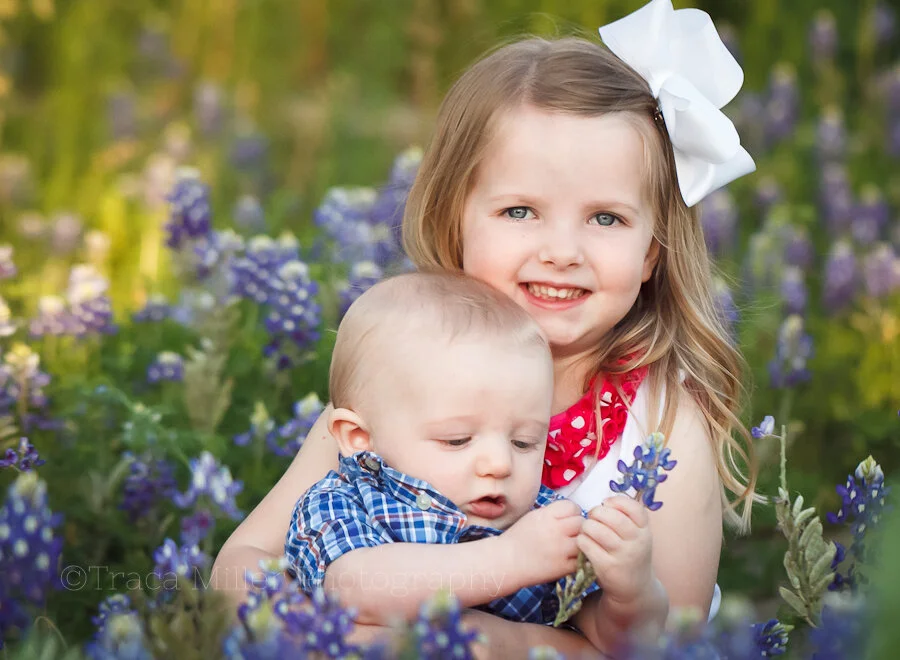 Bluebonnets {2016}