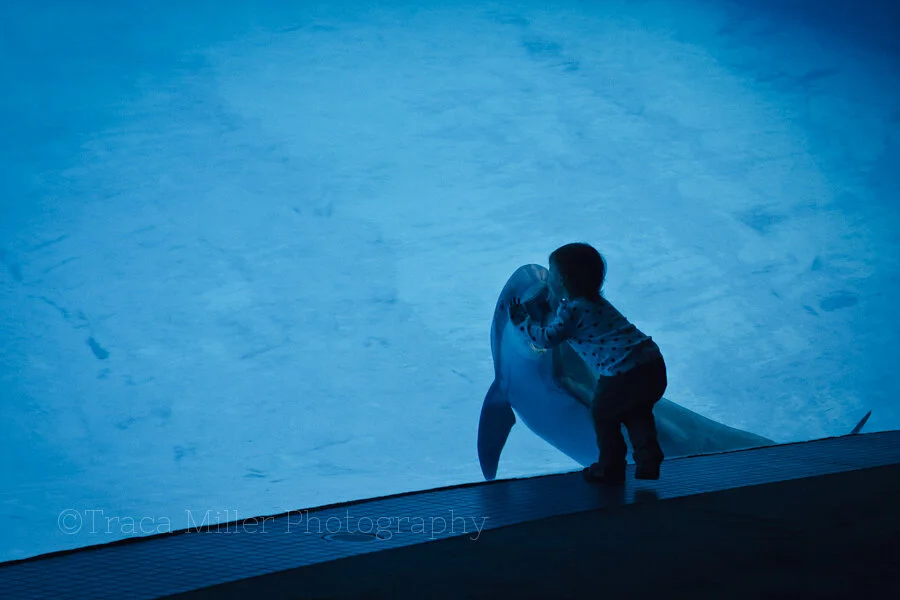 Texas State Aquarium - Field Trip