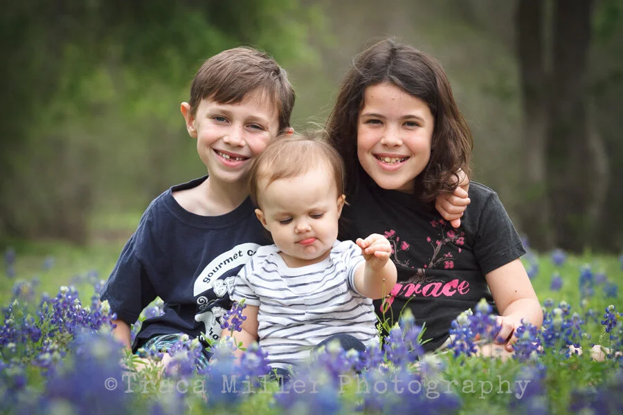 Bluebonnets {2014}