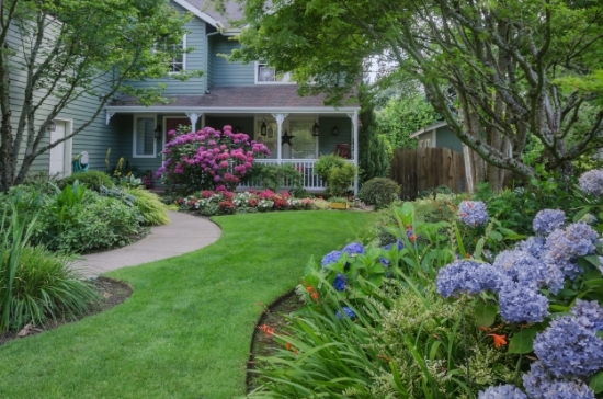 A sweep of lawn through a hydrangea garden is hard to resist. Lawns serve as pathways, play areas for children, entertainment spaces, or a place for pets to romp.