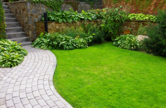 Lawns don't have to be huge for their evergreen color to give your perennials the right backdrop.