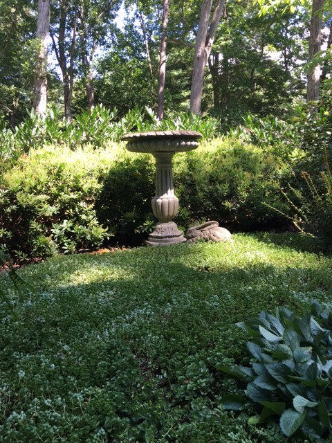 Cantrell has a gift for making small vignettes in her landscape, inviting spaces that are intimate and soothing. This birdbath with the concrete bunny nestled against it, sits in the middle of a patch of Sedum 'John Creech', an evergreen perennial succulent that is zoned 3-8 and can tolerate light shade. Bordered by a dwarf Japanese pieris, Cantrell said it took three years for the sedum to fully grow in and fill the space.&nbsp;
