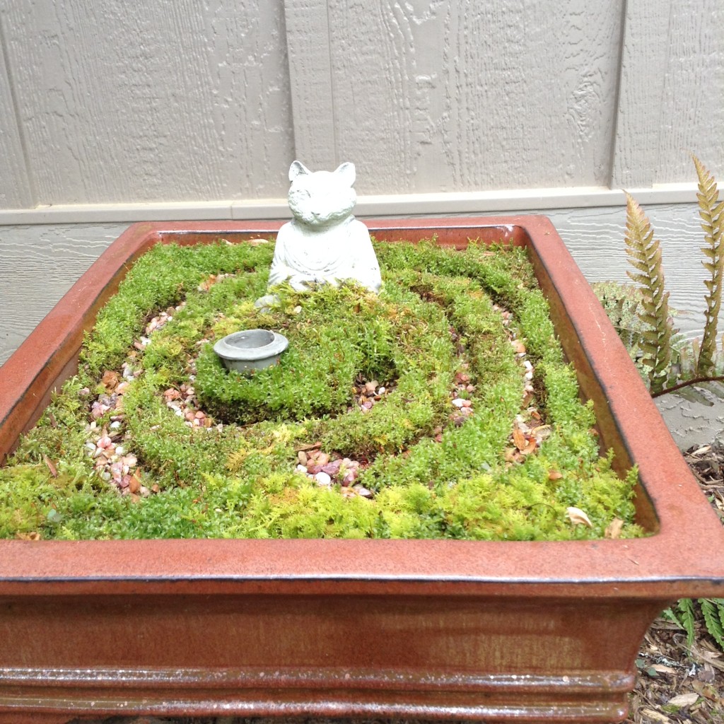 Labyrinth container done with sedum, moss and pebbles.