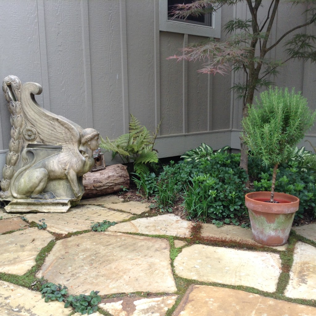 A rosemary topicary placed near an antique statue bring a more classical element to the garden. The Webb's enjoy embracing a mix of elements, as well as the old with the new.