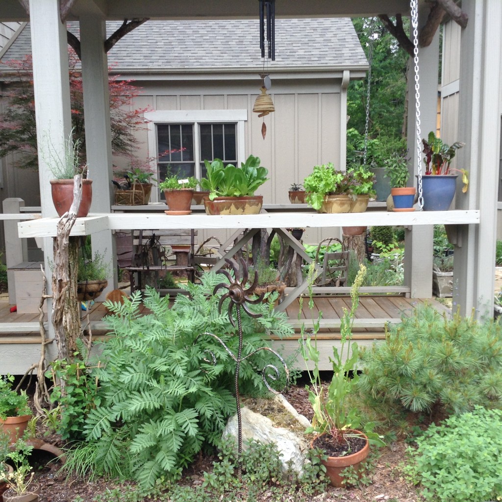 The herb garden extends below the rail where larger herbs can be planted.&nbsp;