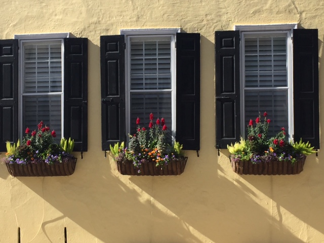 Using the same plant material in something as simple as your window boxes can help create unity in the garden.&nbsp;