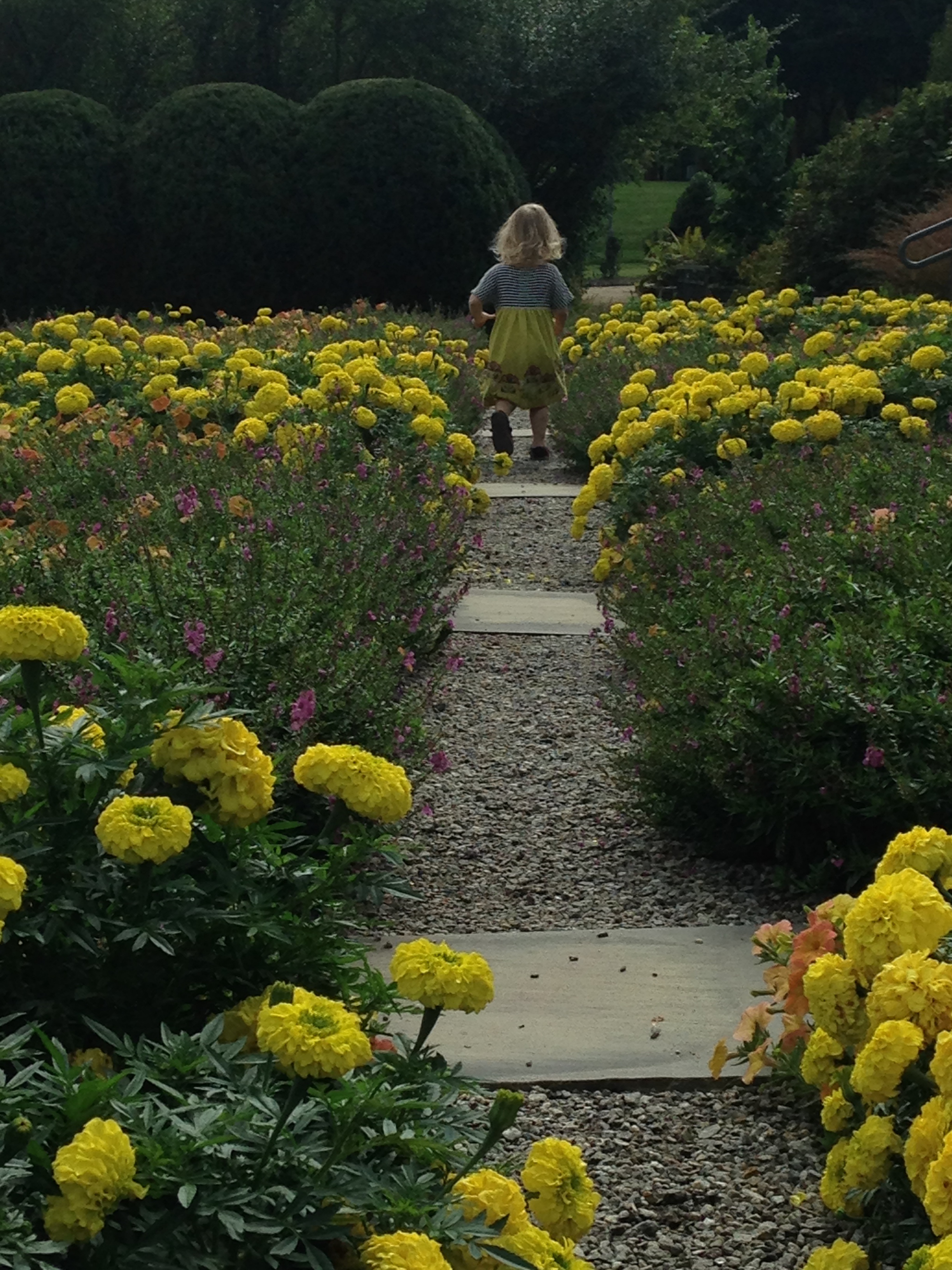 The prettiest little girl I know, my granddaughter, running through the quilt garden at the Arboretum.