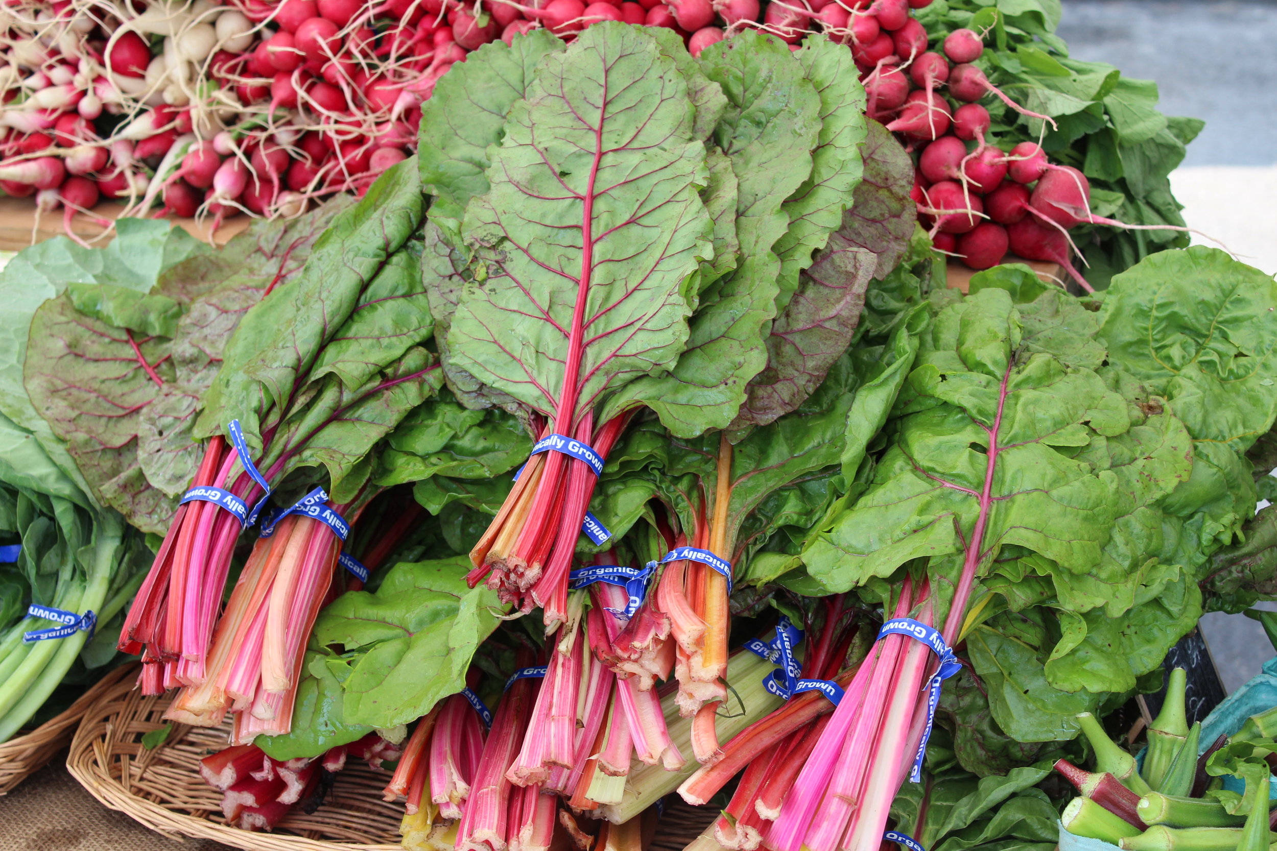 Swiss chard, with its bright stems, adds color to fall containers and gardens. The leaves can be harvested for salads when young, and the stalks are edible, too. Try them in stir-fry. Cut from the outside of the plant with a sharp knife about 1-2" from soil. New growth begins in center of plant. Refrain from cutting the growing point.