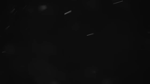 ezgif.com-crop (3).gif