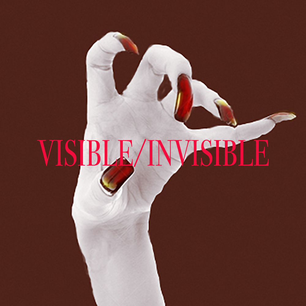 Visible Invisible home Page index image.jpg