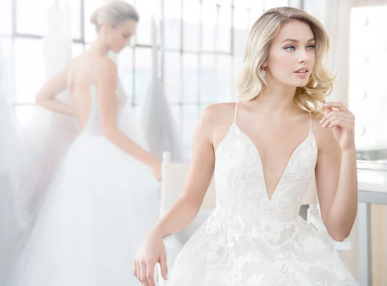 blush-hayley-paige-bridal-spring-2018-style-1817-fleur-de-lis_6.jpg