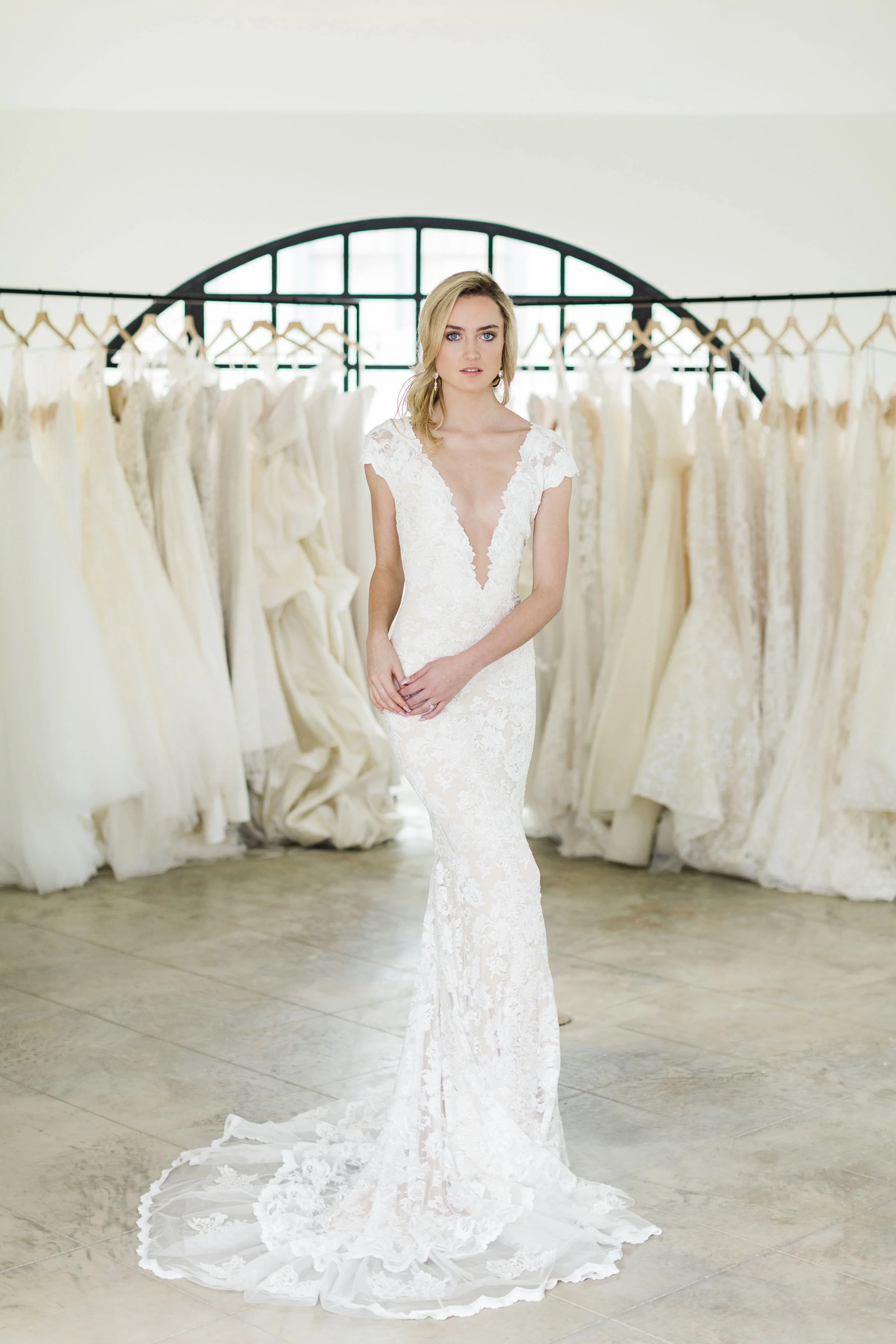 olvis lace collection