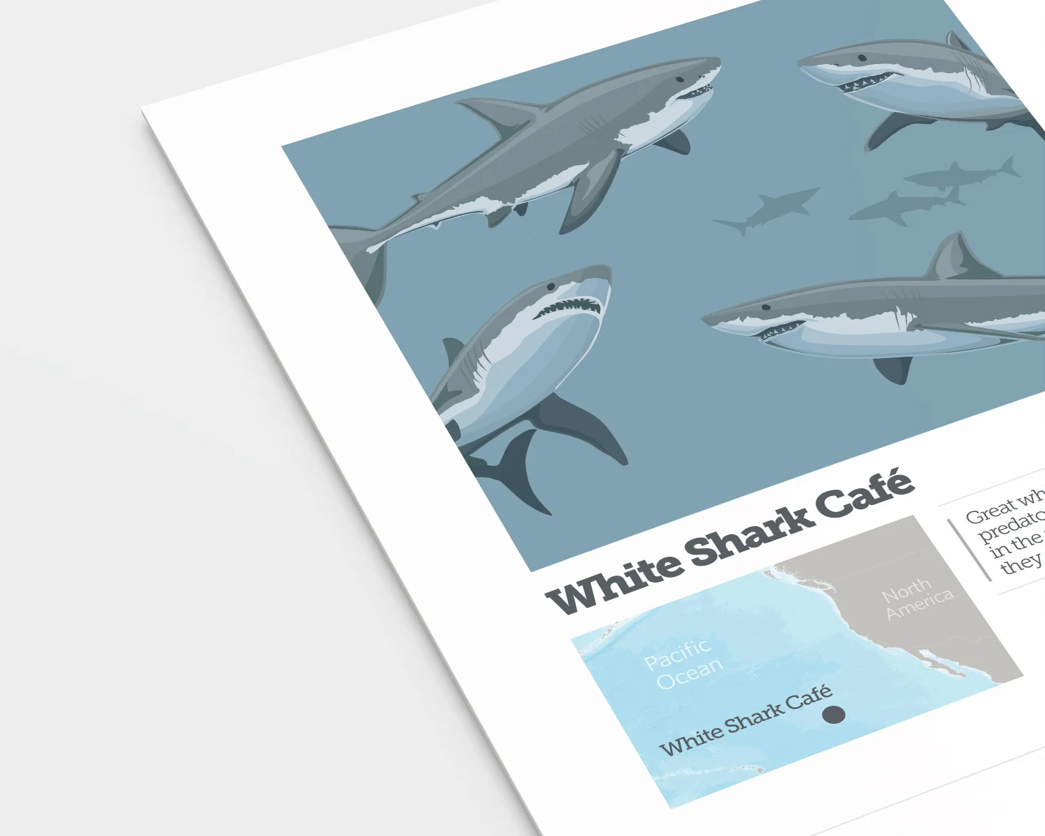 6High-Seas-shark.jpg