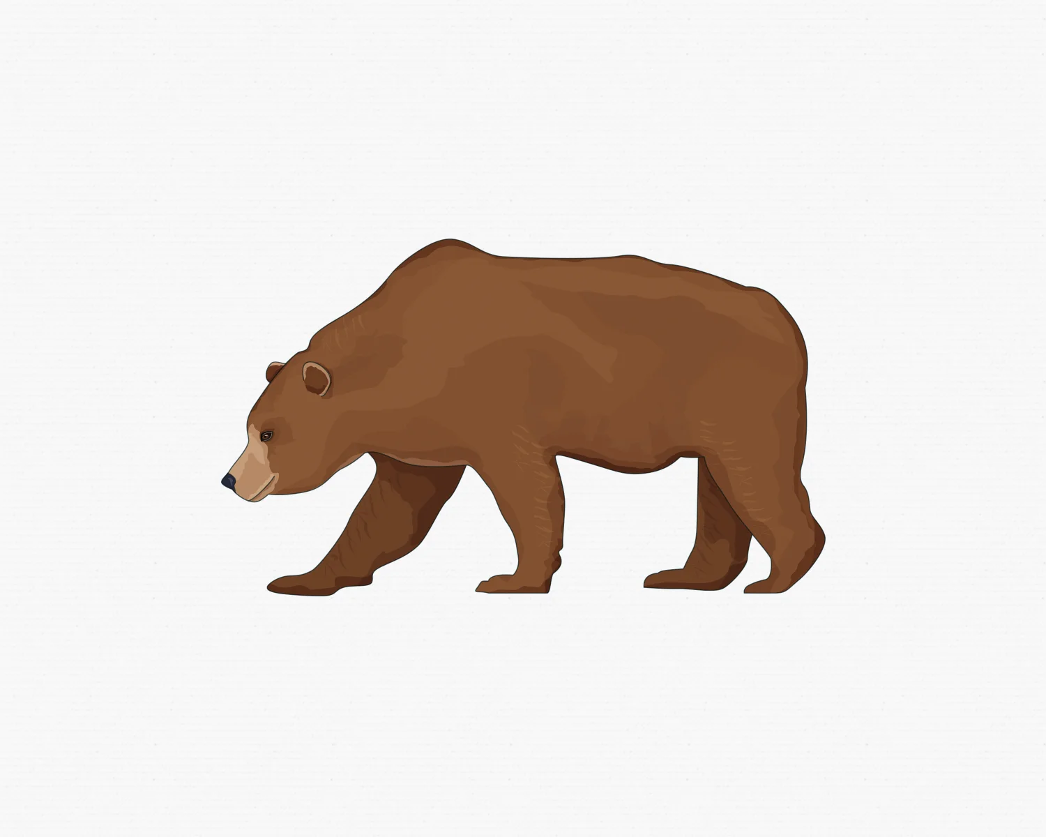 10Bear.jpg