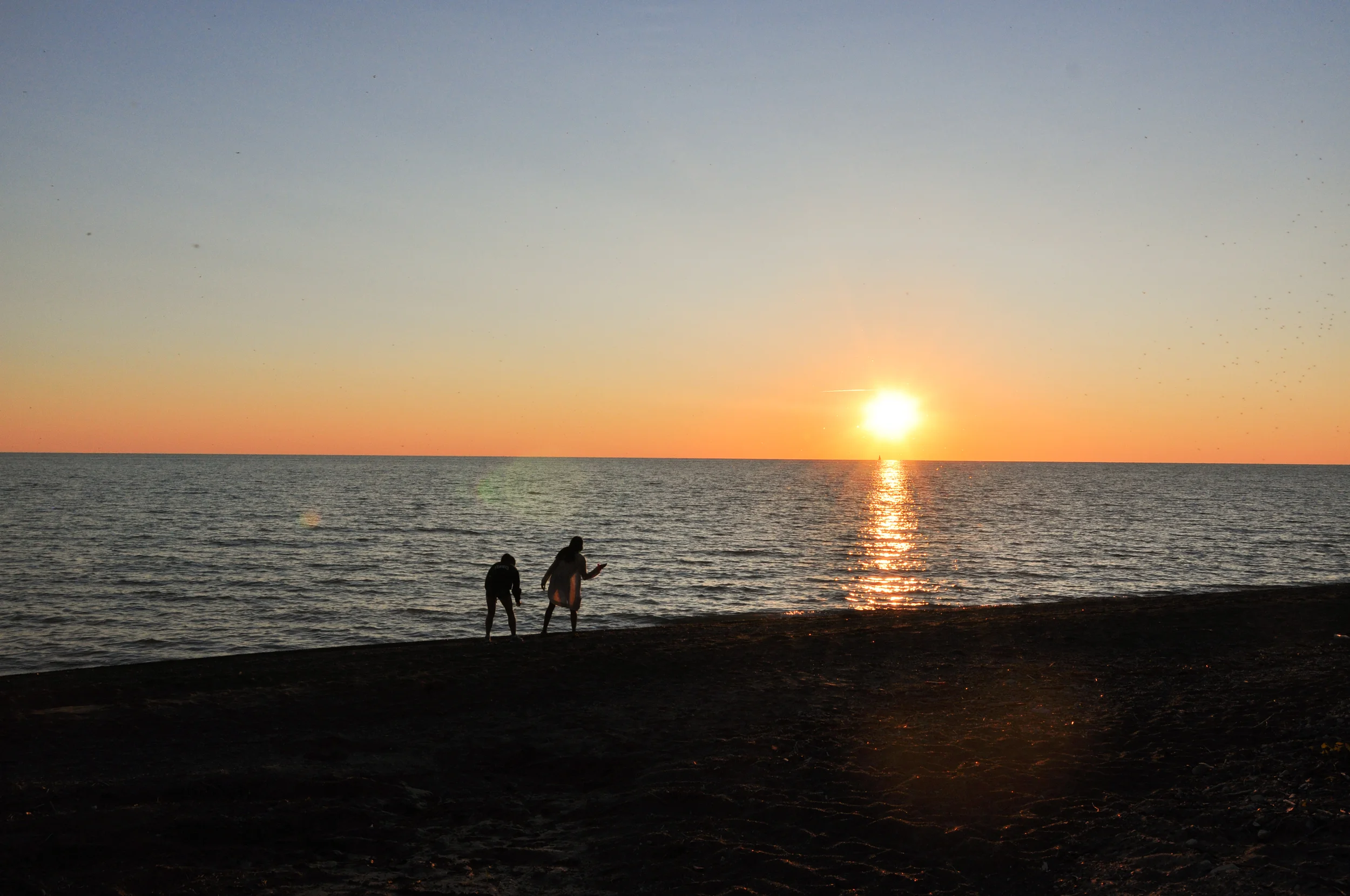 dsc_0175.jpg