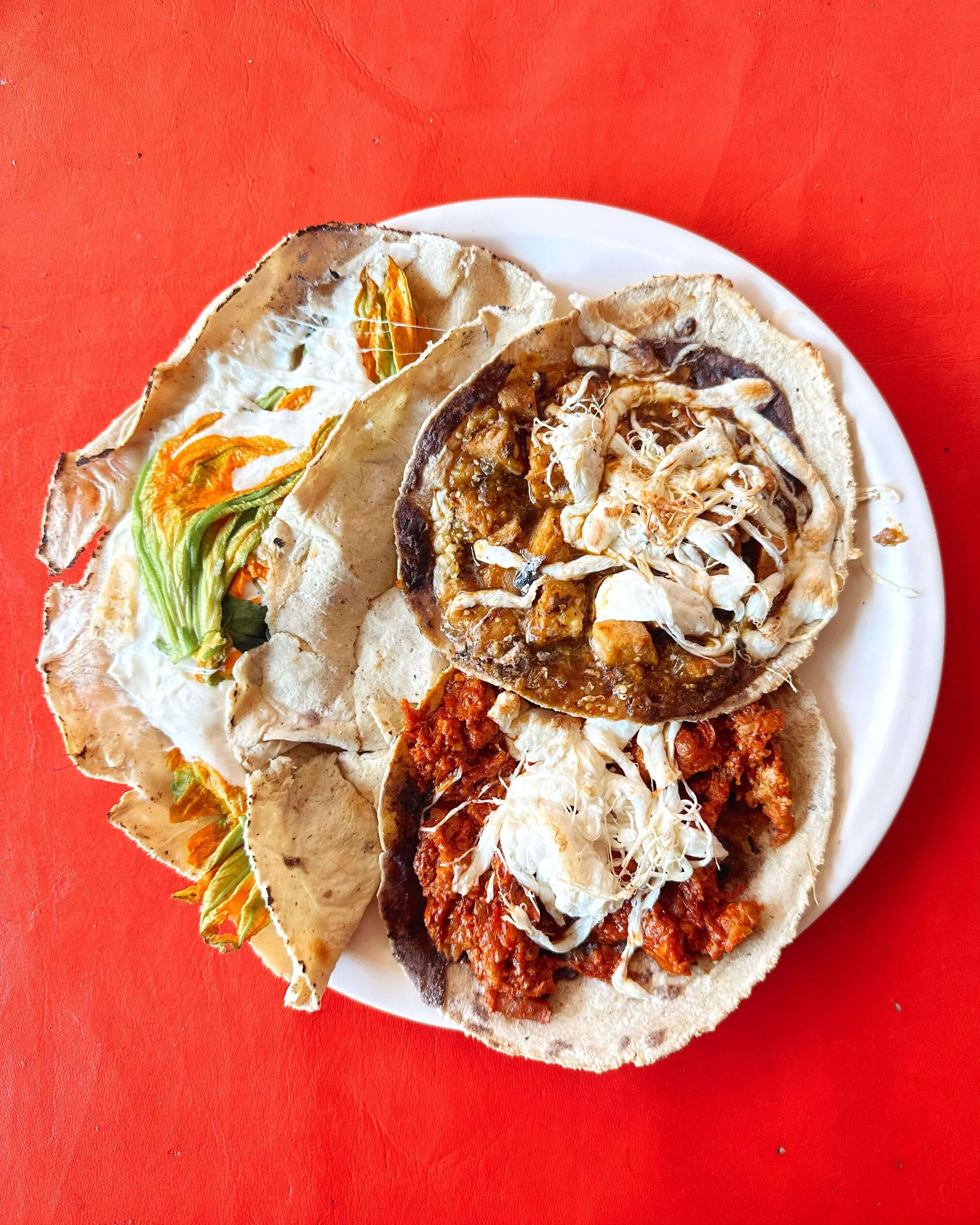 Oaxaca Street Food Essentials