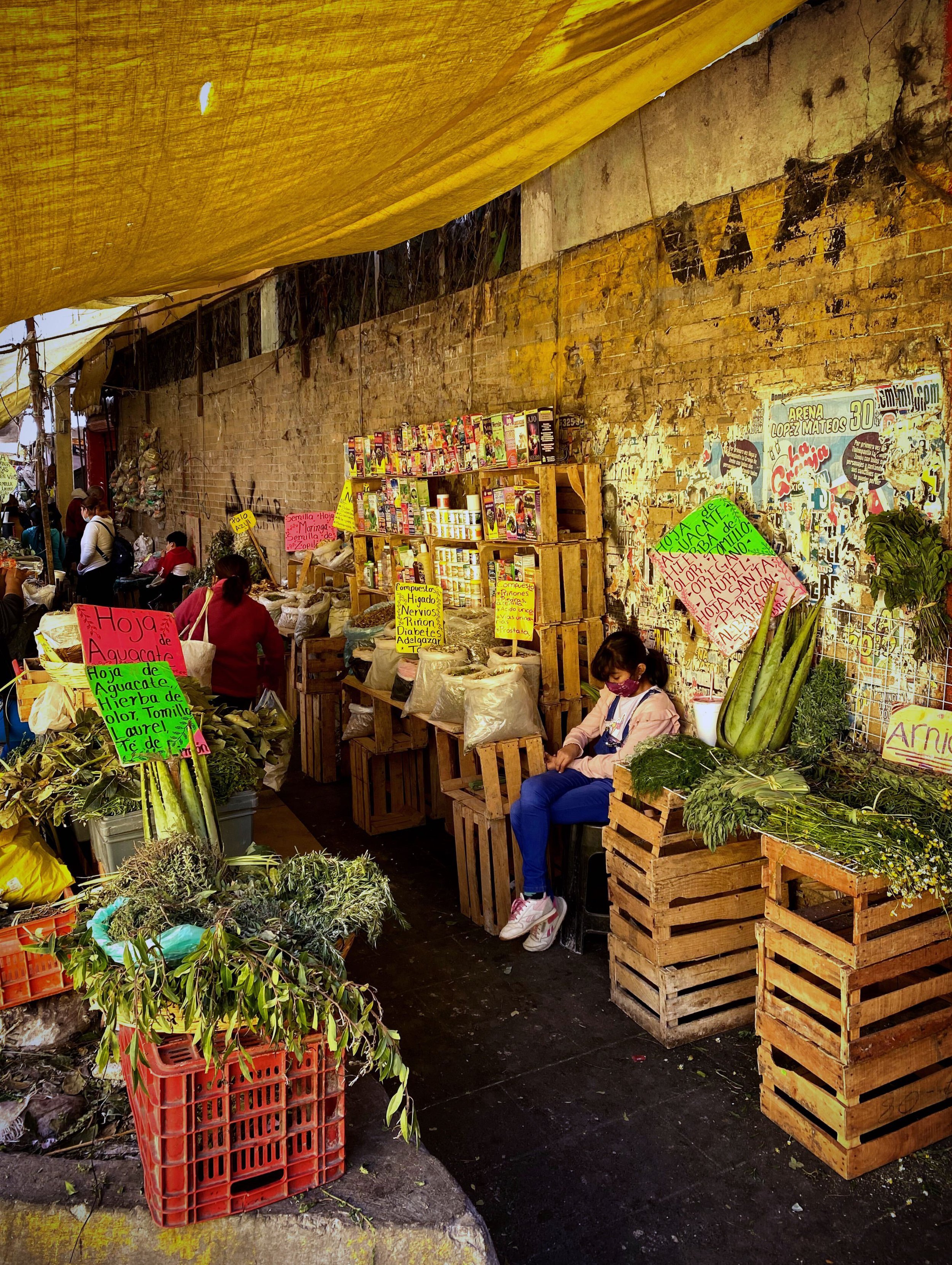 Club Tengo hambre-Insiders Guide to Merced Market-Market Food tour CDMX 10.jpg