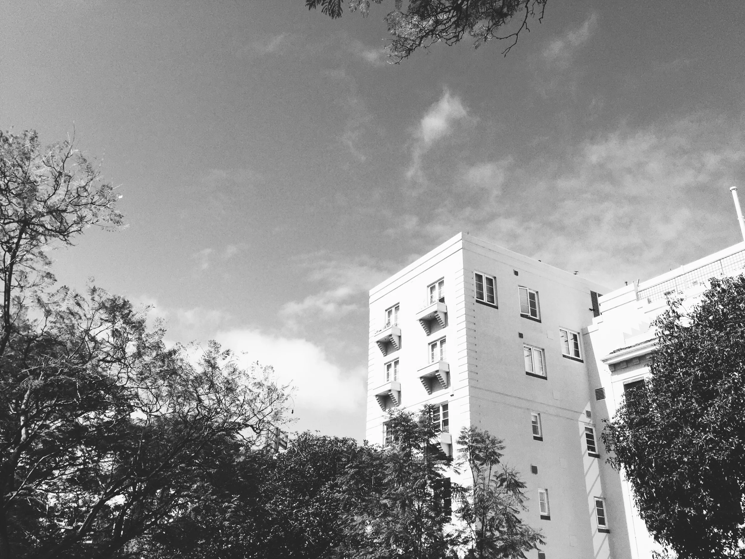 IMG_3566_bw.jpg