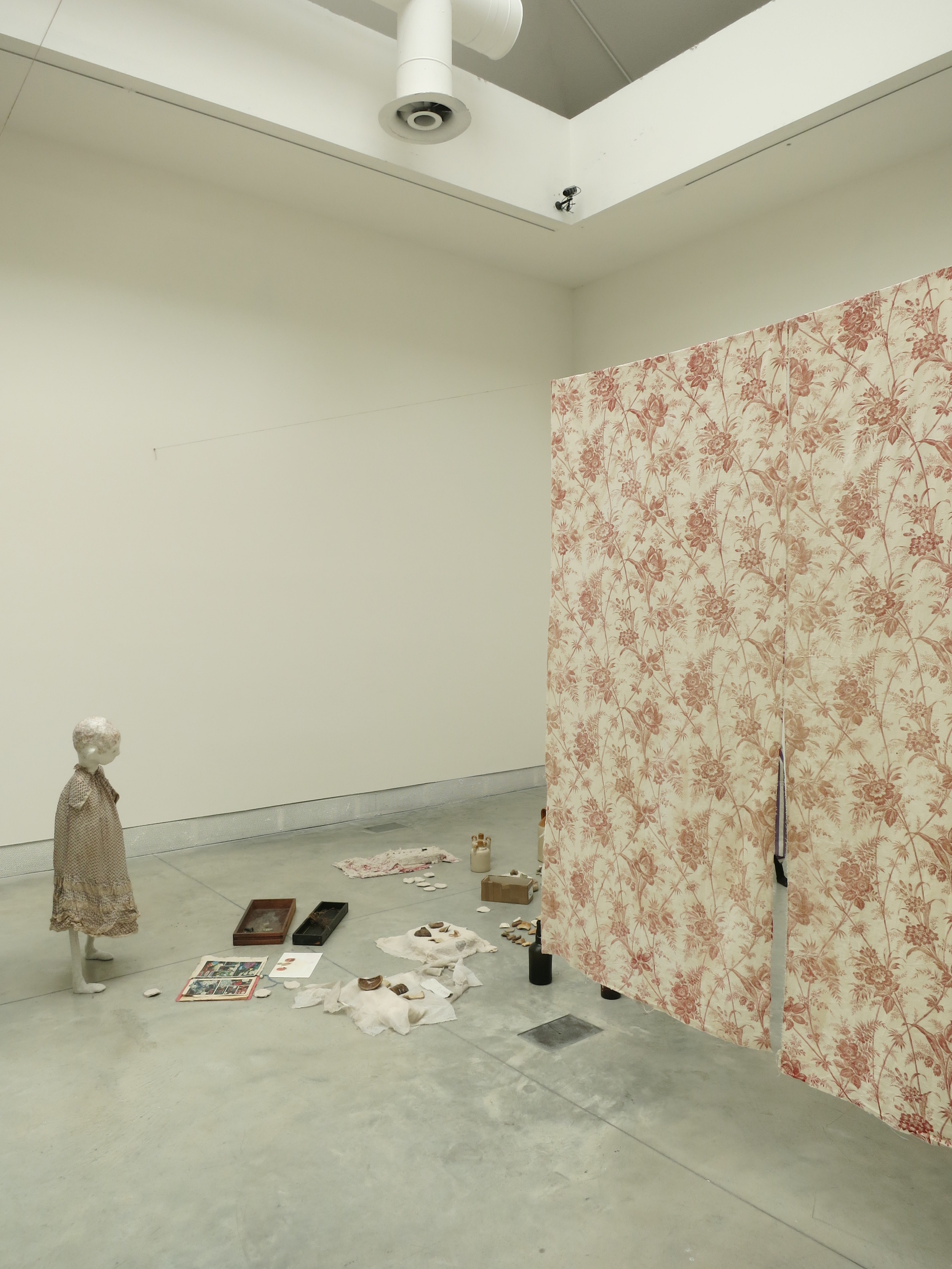 Cathy Wilke's installation in the 55th Venice Biennale 2013
