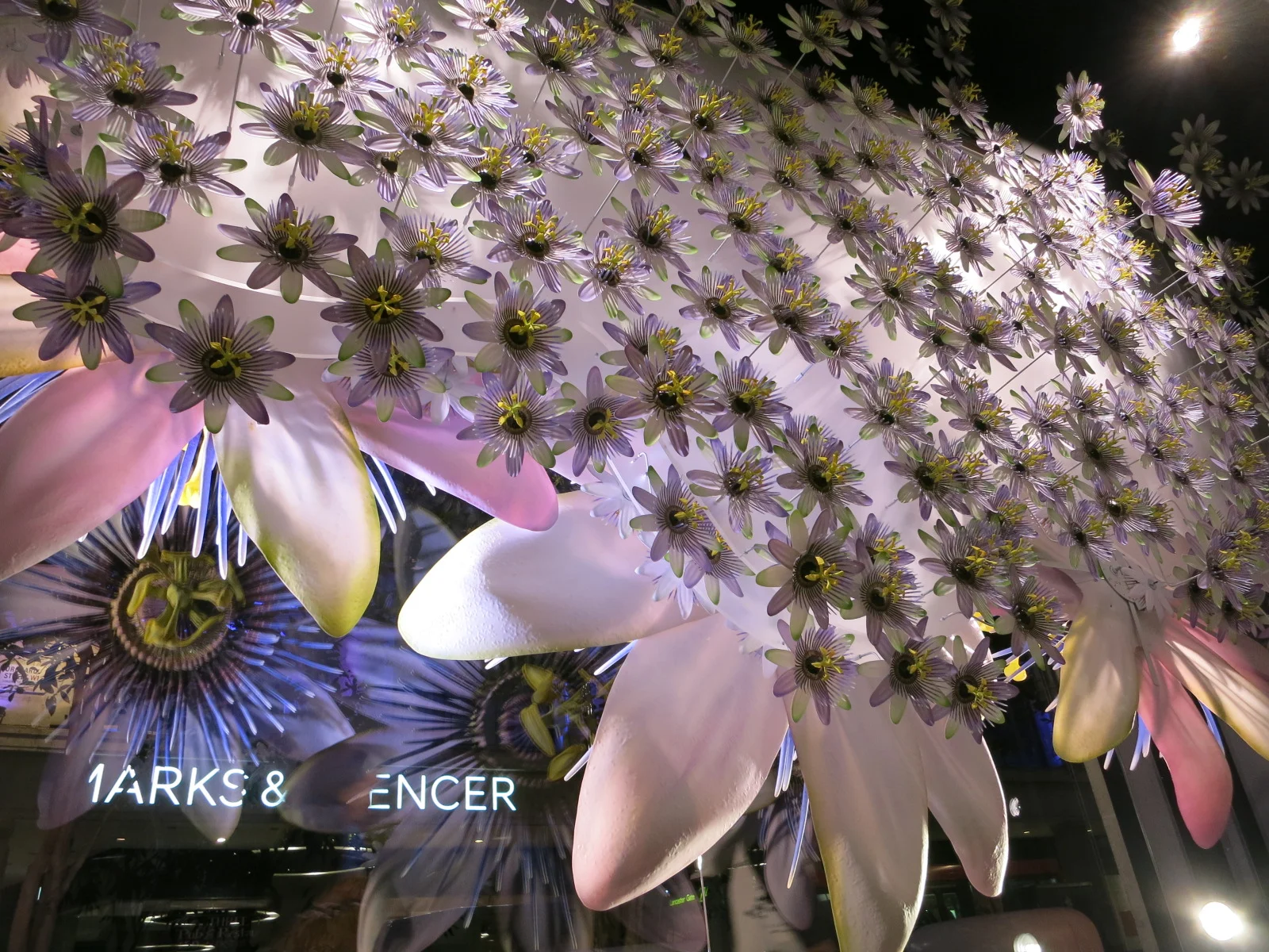 Selfridges' windows Oct 2015