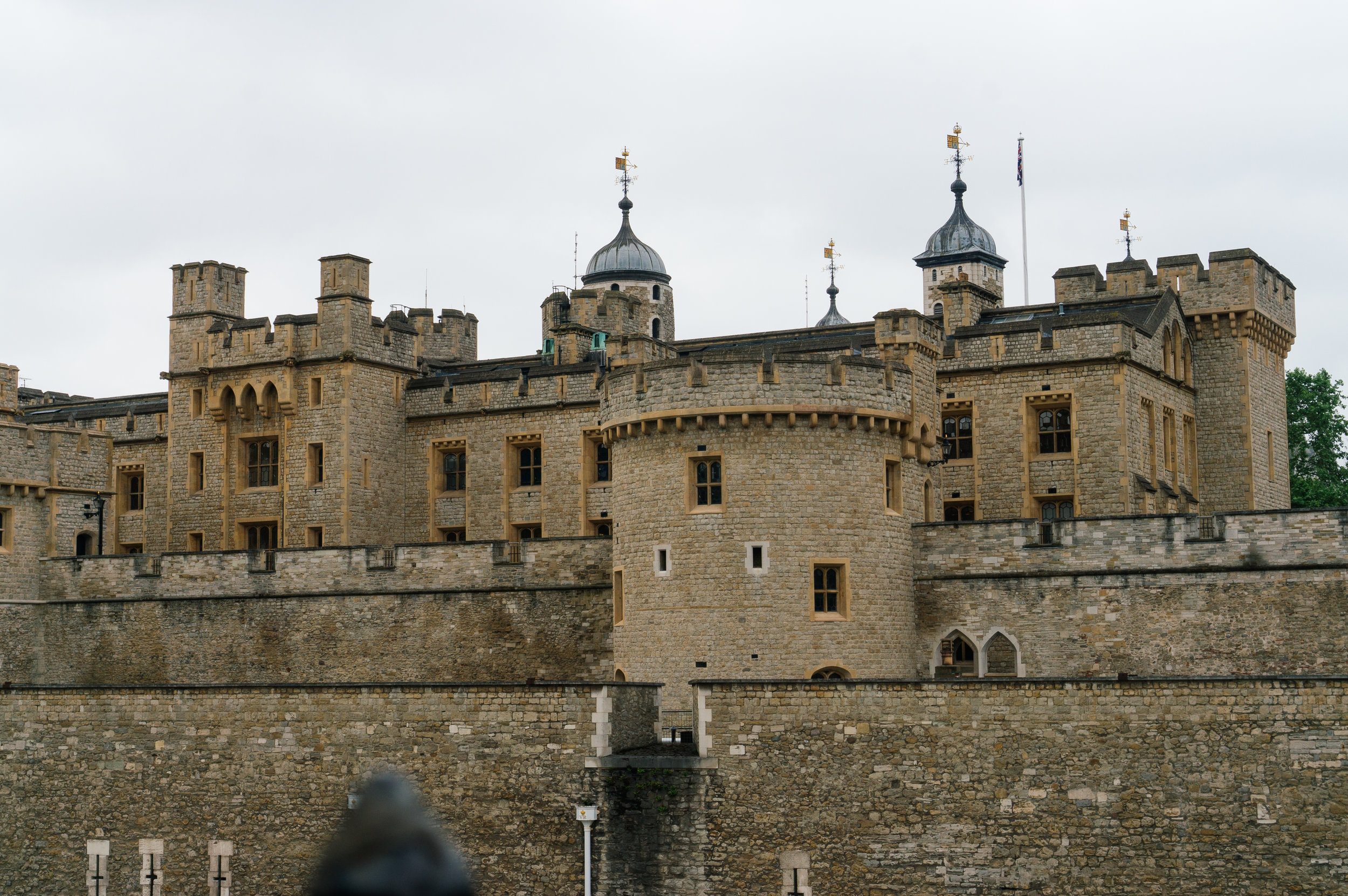 _DSC3975.jpg