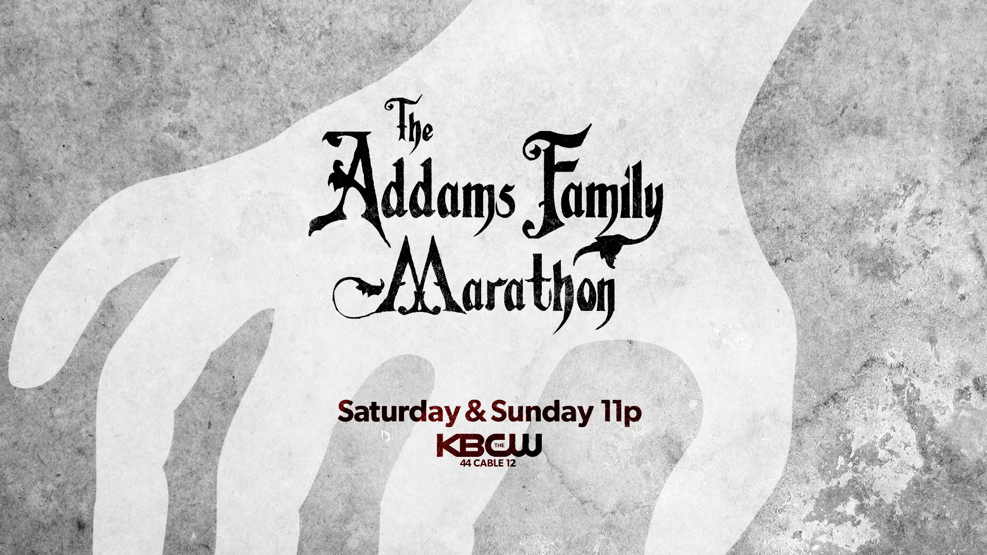 The Addams Family Marathon