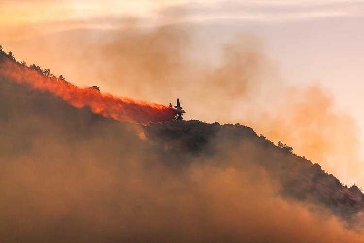 Retardant-bright_6549.jpg